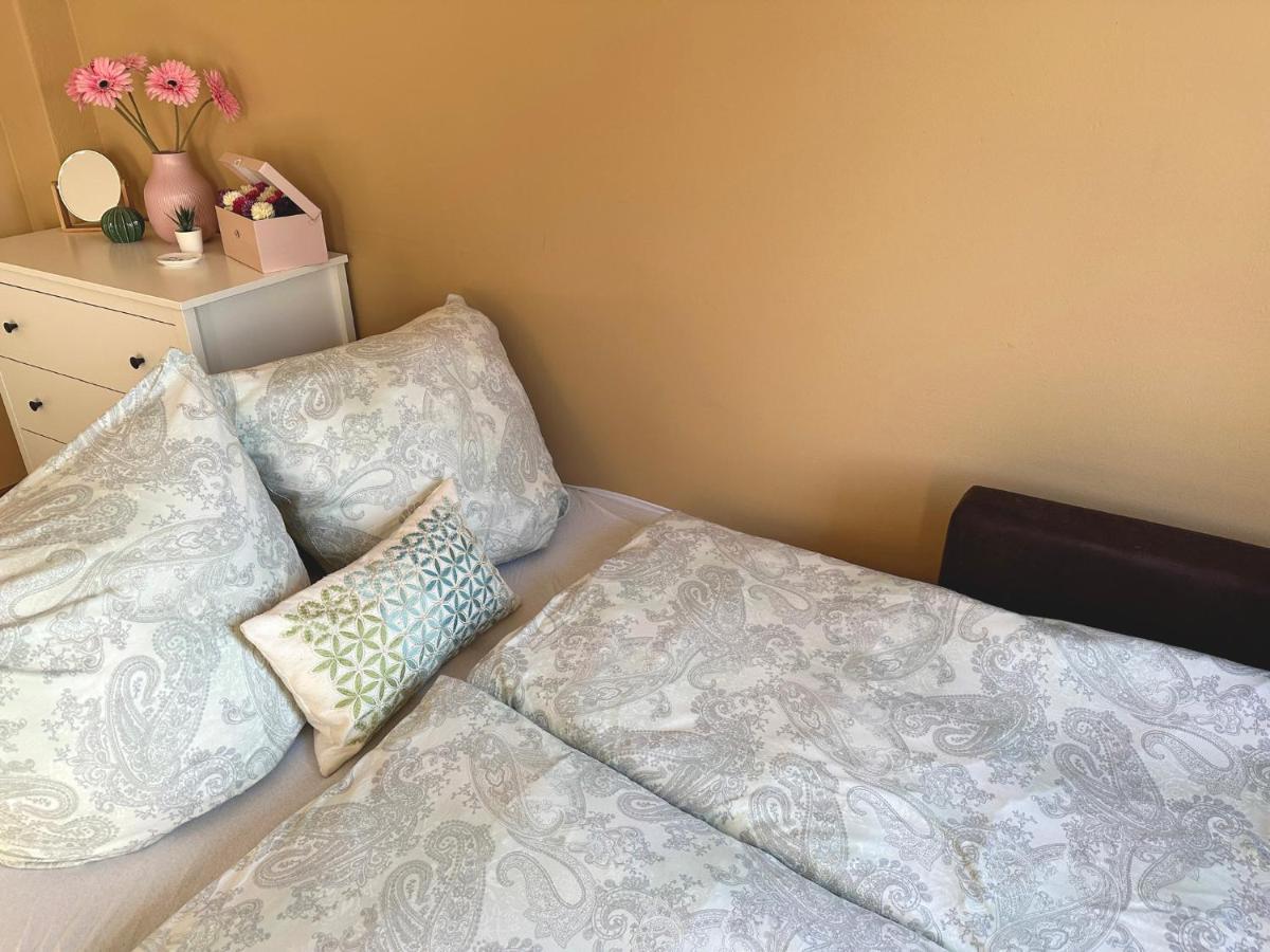 דרזדן Apartement Am Schloss Pillnitz מראה חיצוני תמונה