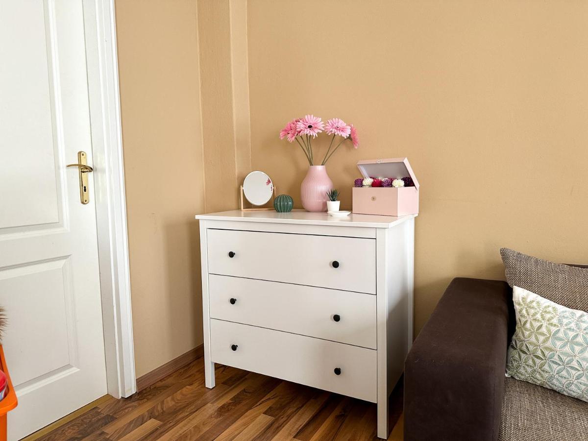 דרזדן Apartement Am Schloss Pillnitz מראה חיצוני תמונה